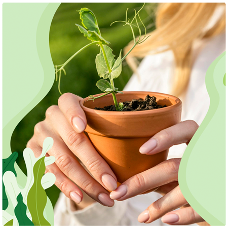 About Ayurhitham Ayurveda center Poovar